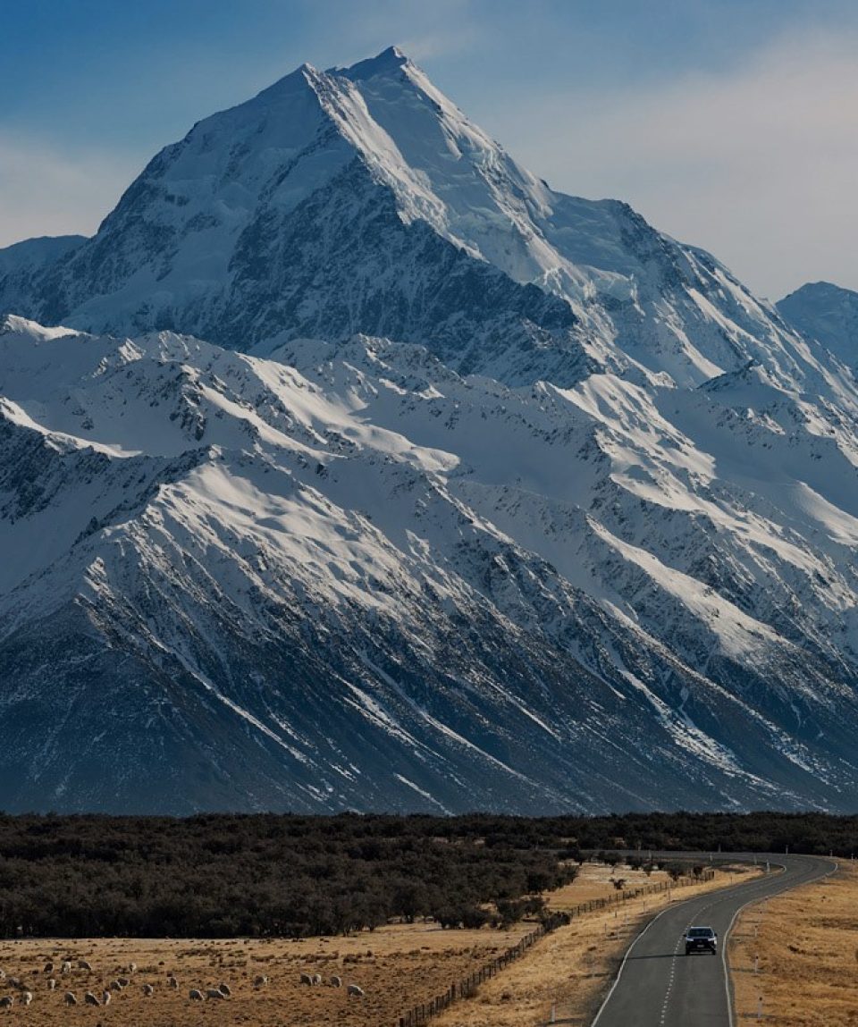 Mount cook day tour